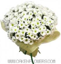 White Chrysanthemums Bouquet White Chrysanthemums Bouquet